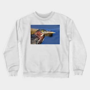 Green Heron Crewneck Sweatshirt